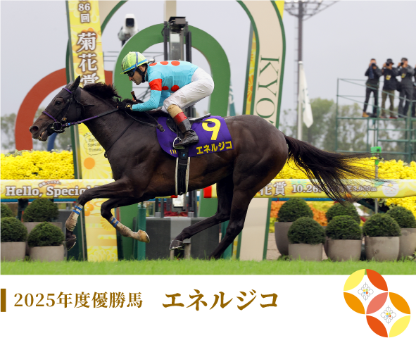 2025年度優勝馬 エネルジコ
